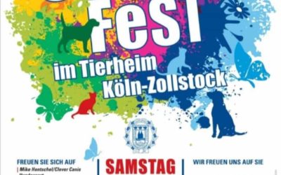 Tierheimfest in Zollstock
